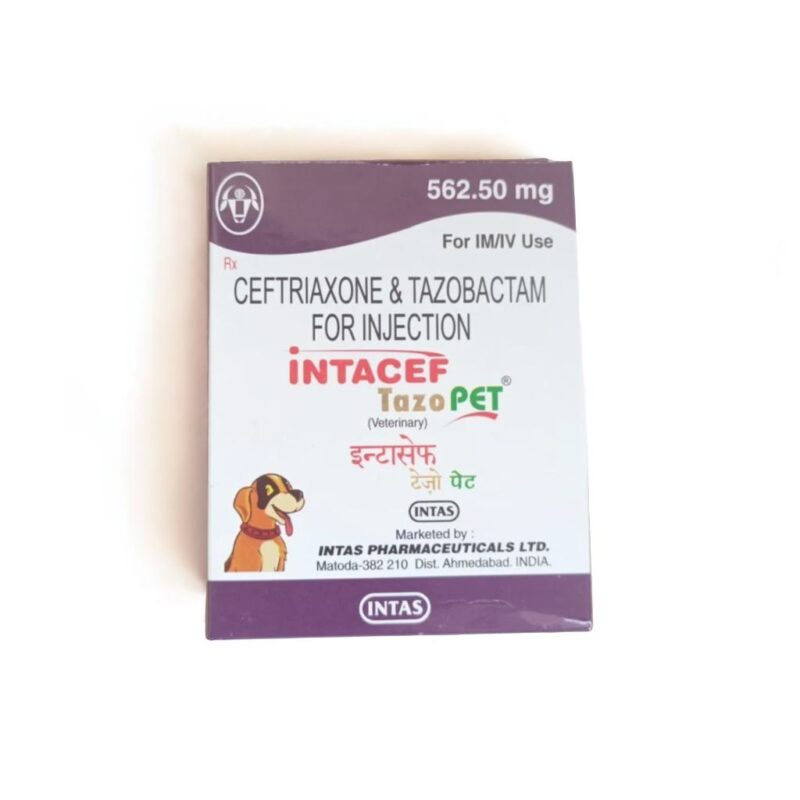 intacef-tazo
