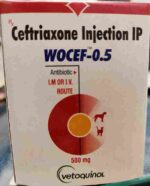 WOCEF-500mg