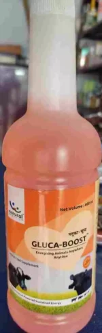 GLUCA-BOOST