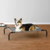 dog bed